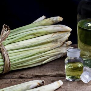 LEMON GRASS
