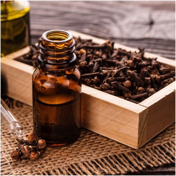 CLOVE OIL