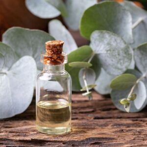 EUCALYPTUS